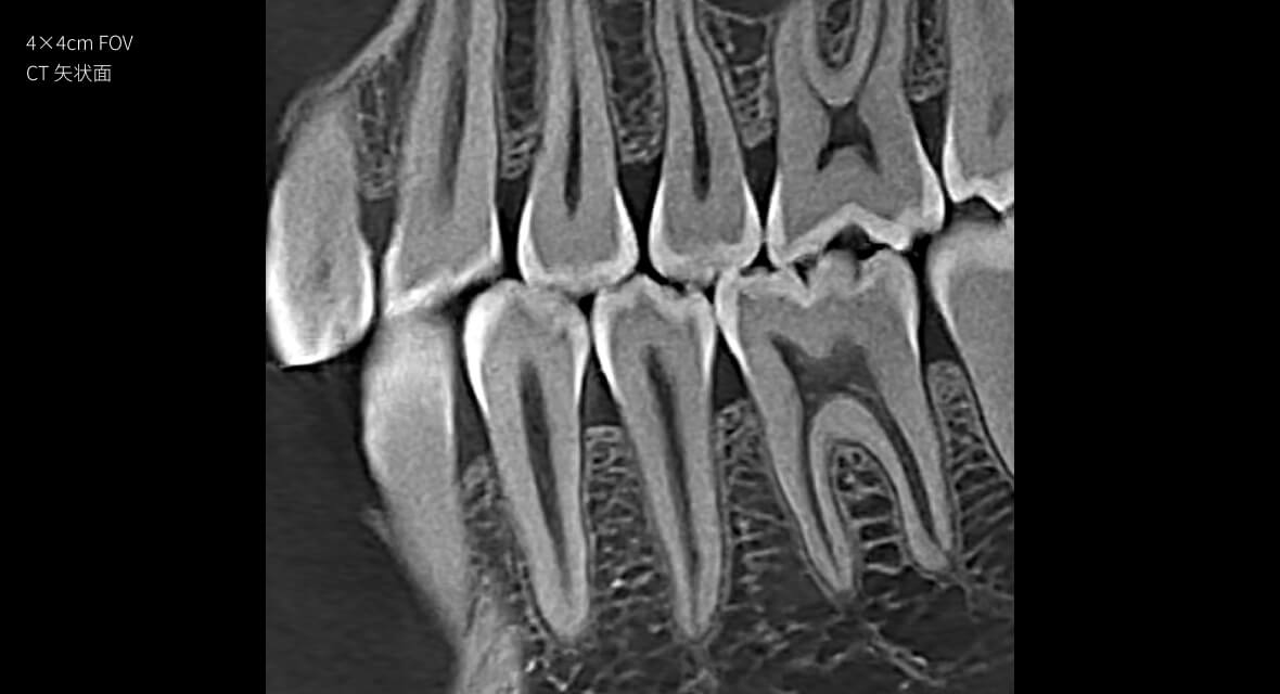 影像實(shí)力派